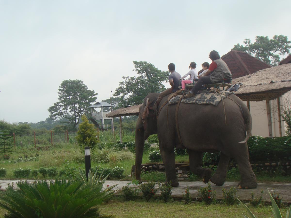 Musa Jungle Retreat Kumguri Eksteriør billede